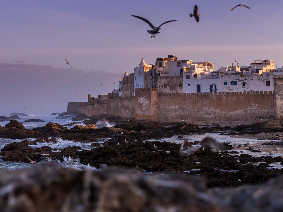 Placeholder: Essaouira ramparts facing the Atlantic at sunset. Replace when image sourced. [CHECK: image]